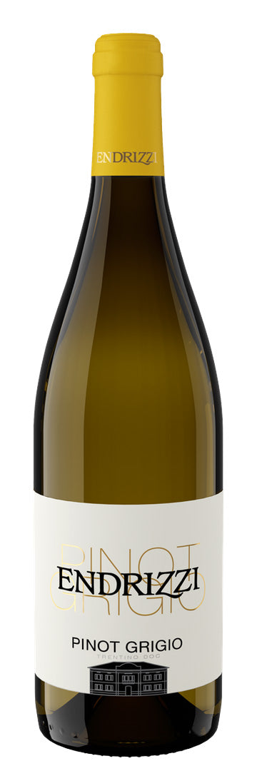 Endrizzi - Pinot Grigio 2024